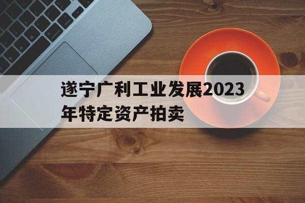 遂宁广利工业发展2023年特定资产拍卖(遂宁广利工业发展2023年特定资产拍卖项目)