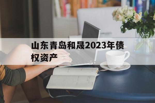 关于山东青岛和晟2023年债权资产的信息