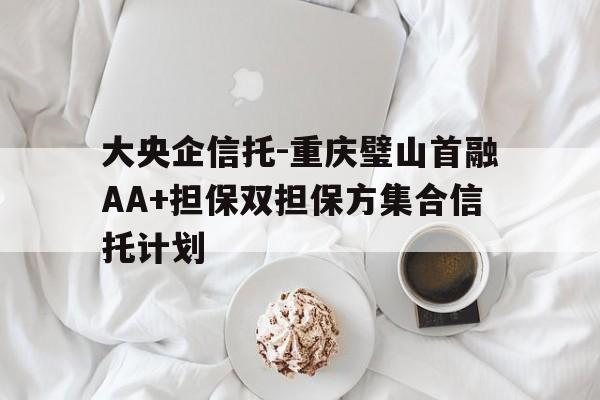 大央企信托-重庆璧山首融AA+担保双担保方集合信托计划(璧山首付)