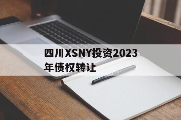 四川XSNY投资2023年债权转让的简单介绍