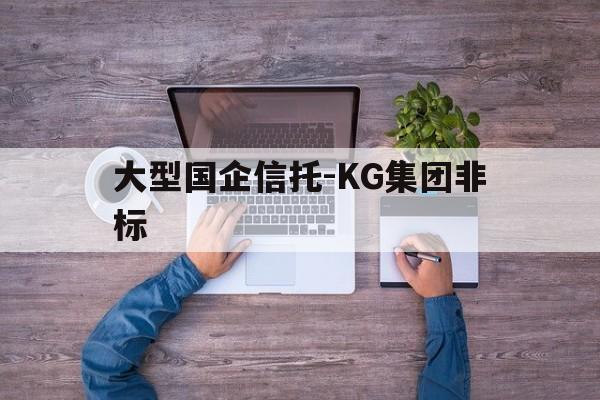 关于大型国企信托-KG集团非标的信息