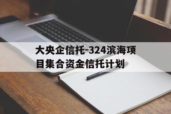 关于大央企信托-324滨海项目集合资金信托计划的信息