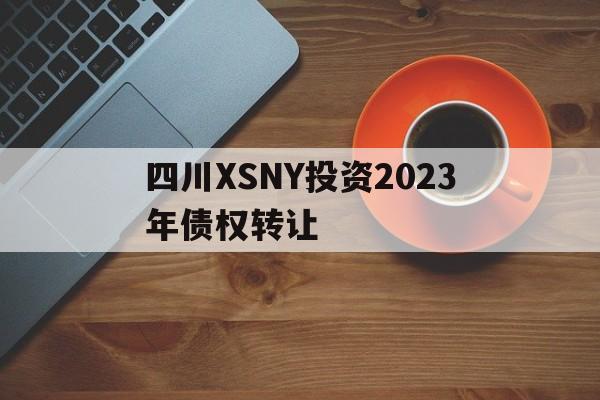 包含四川XSNY投资2023年债权转让的词条