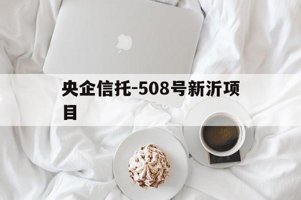 关于央企信托-508号新沂项目的信息