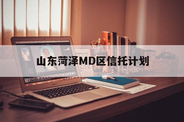 山东菏泽MD区信托计划(山东信托投资有限公司总经理)