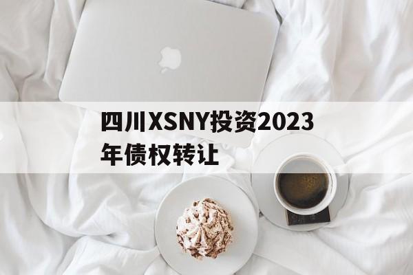 关于四川XSNY投资2023年债权转让的信息