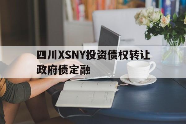 包含四川XSNY投资债权转让政府债定融的词条