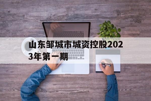 山东邹城市城资控股2023年第一期(山东邹城市城资控股2023年第一期招标公告)