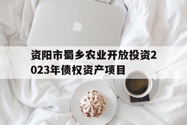 关于资阳市蜀乡农业开放投资2023年债权资产项目的信息