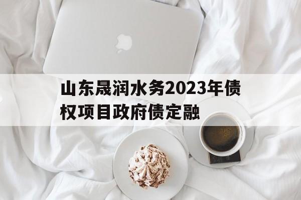 山东晟润水务2023年债权项目政府债定融(山东省2021年政府专项债券项目资金绩效评价)