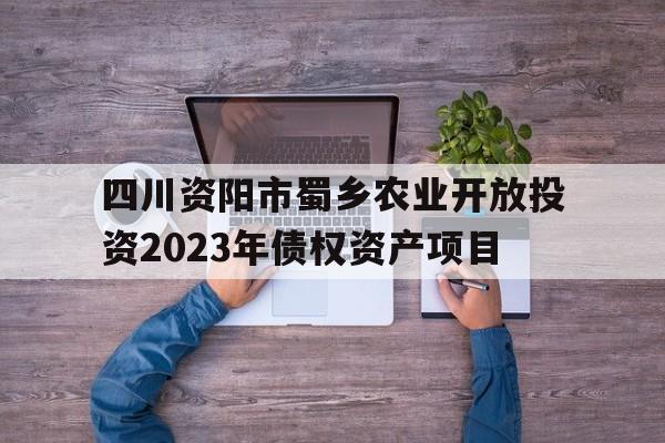 关于四川资阳市蜀乡农业开放投资2023年债权资产项目的信息