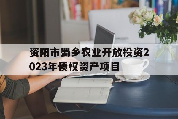 包含资阳市蜀乡农业开放投资2023年债权资产项目的词条