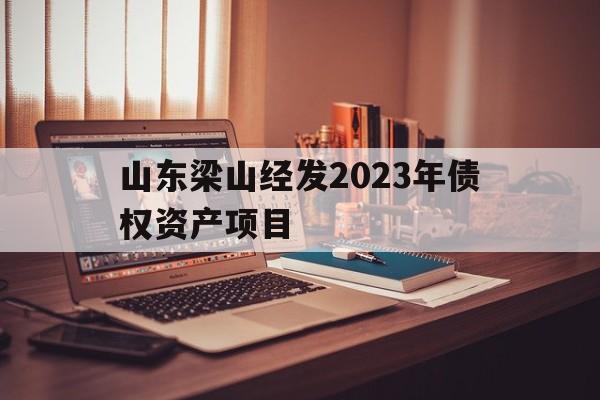 山东梁山经发2023年债权资产项目(梁山县经发集团有限公司)