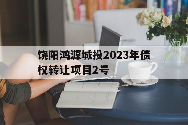 饶阳鸿源城投2023年债权转让项目2号的简单介绍