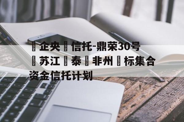 包含‮企央‬信托-鼎荣30号‮苏江‬泰‮非州‬标集合资金信托计划的词条