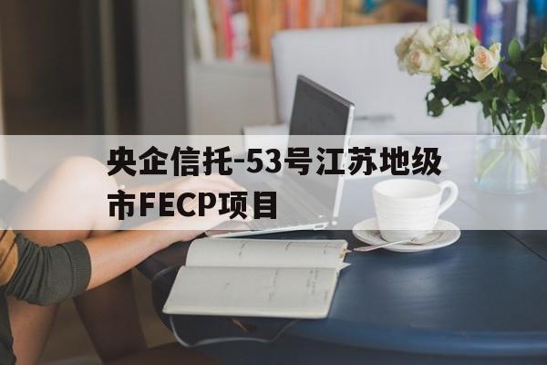 央企信托-53号江苏地级市FECP项目(江苏信托与江苏国际信托)