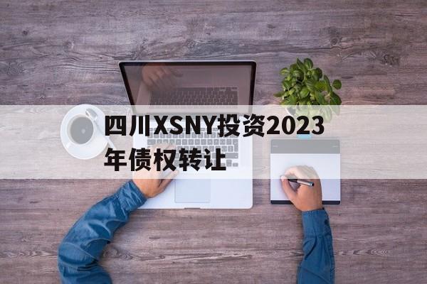 四川XSNY投资2023年债权转让(川投债券)