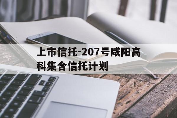 包含上市信托-207号咸阳高科集合信托计划的词条