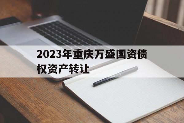 包含2023年重庆万盛国资债权资产转让的词条