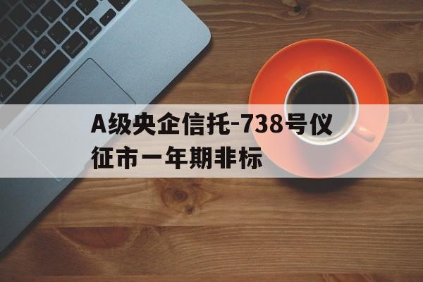 A级央企信托-738号仪征市一年期非标的简单介绍