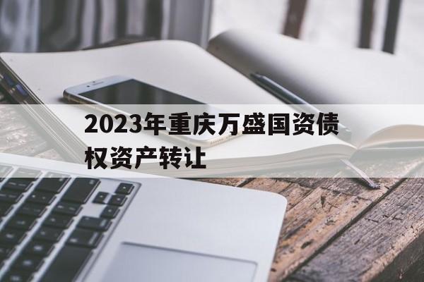 关于2023年重庆万盛国资债权资产转让的信息