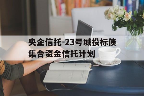 央企信托-23号城投标债集合资金信托计划(城投公司信托融资)