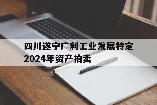 包含四川遂宁广利工业发展特定2024年资产拍卖的词条