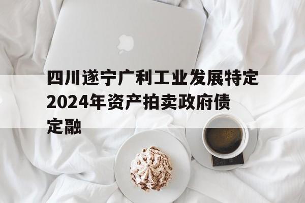 四川遂宁广利工业发展特定2024年资产拍卖政府债定融的简单介绍