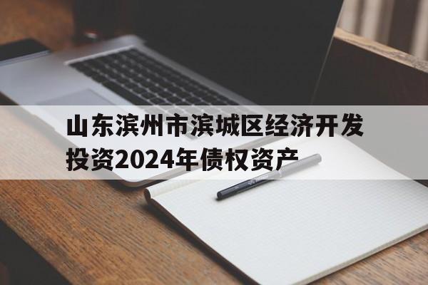 山东滨州市滨城区经济开发投资2024年债权资产(滨州投资项目)