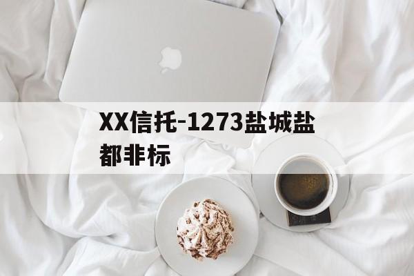 XX信托-1273盐城盐都非标(大业信托政兴13号扬州仪征非标信托)