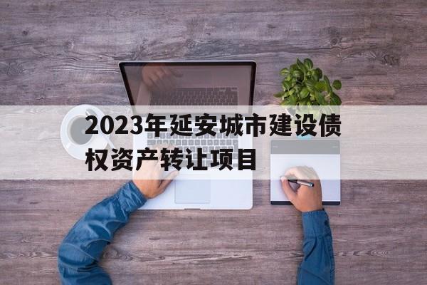 包含2023年延安城市建设债权资产转让项目的词条