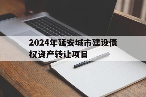 包含2024年延安城市建设债权资产转让项目的词条