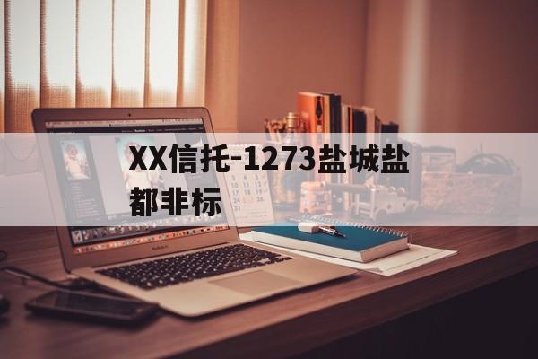 包含XX信托-1273盐城盐都非标的词条