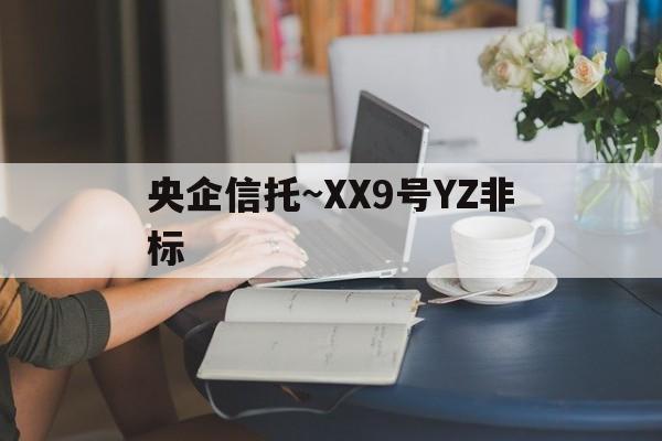 央企信托~XX9号YZ非标(央行备案的3a企业信用等级机构)