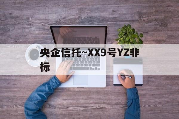 关于央企信托~XX9号YZ非标的信息