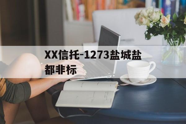 关于XX信托-1273盐城盐都非标的信息